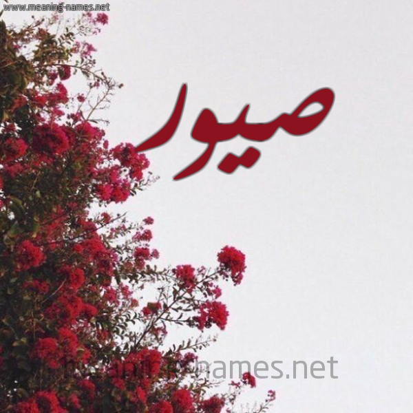 شكل 18 صوره الورد الأحمر للإسم بخط رقعة صورة اسم صيور Sywr