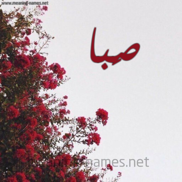 شكل 18 صوره الورد الأحمر للإسم بخط رقعة صورة اسم صَبا Saba