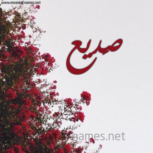 شكل 18 صوره الورد الأحمر للإسم بخط رقعة صورة اسم صَديع SADIA