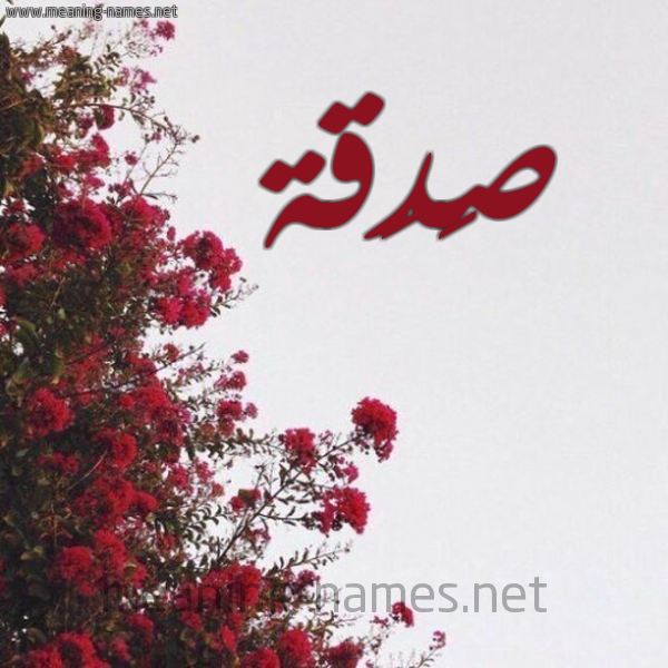 شكل 18 صوره الورد الأحمر للإسم بخط رقعة صورة اسم صَدَقة SADAQH