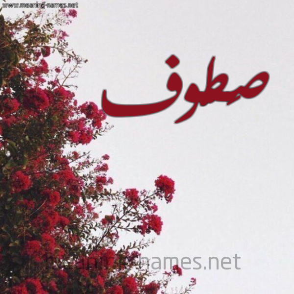 شكل 18 صوره الورد الأحمر للإسم بخط رقعة صورة اسم صَطُّوف SATOOF