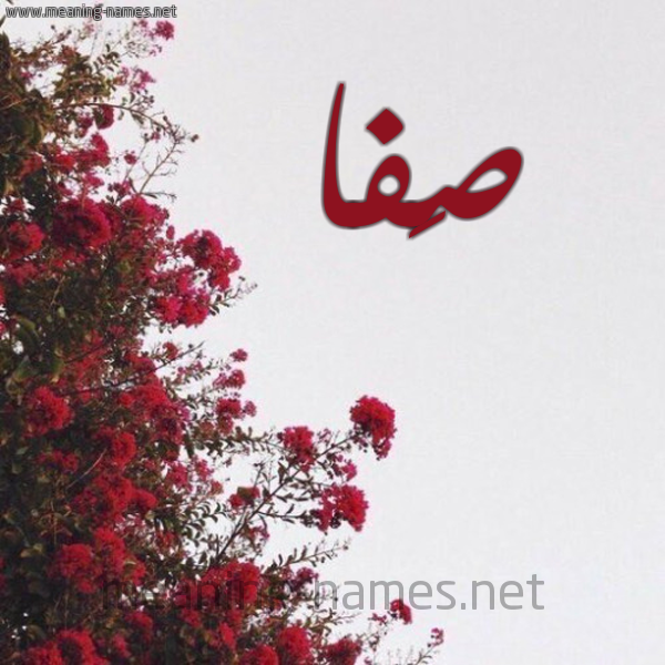 شكل 18 صوره الورد الأحمر للإسم بخط رقعة صورة اسم صَفا Safa