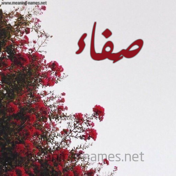شكل 18 صوره الورد الأحمر للإسم بخط رقعة صورة اسم صَفاء SAFAA