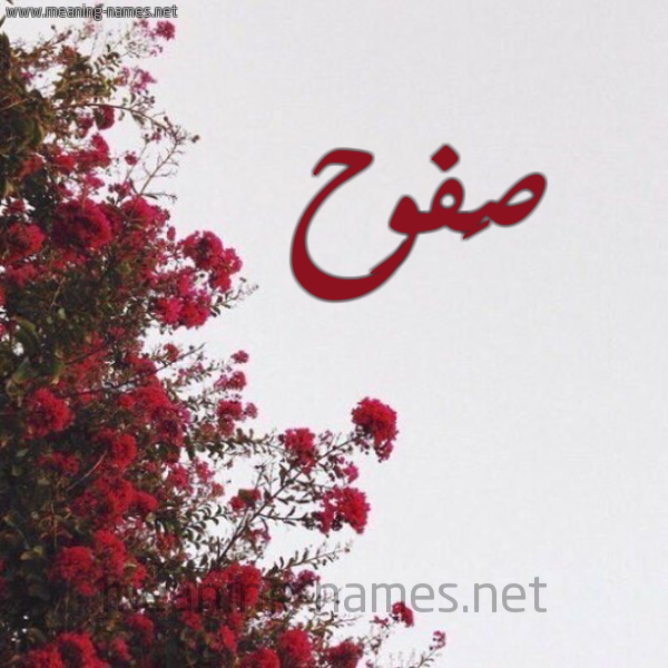 شكل 18 صوره الورد الأحمر للإسم بخط رقعة صورة اسم صَفوح SAFOH