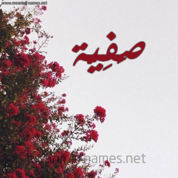 شكل 18 صوره الورد الأحمر للإسم بخط رقعة صورة اسم صَفِيَّة Safia