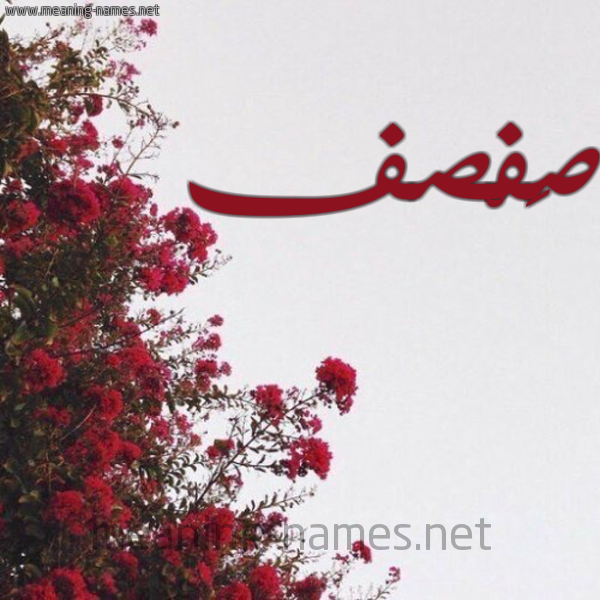 شكل 18 صوره الورد الأحمر للإسم بخط رقعة صورة اسم صَفْصف SAFSF
