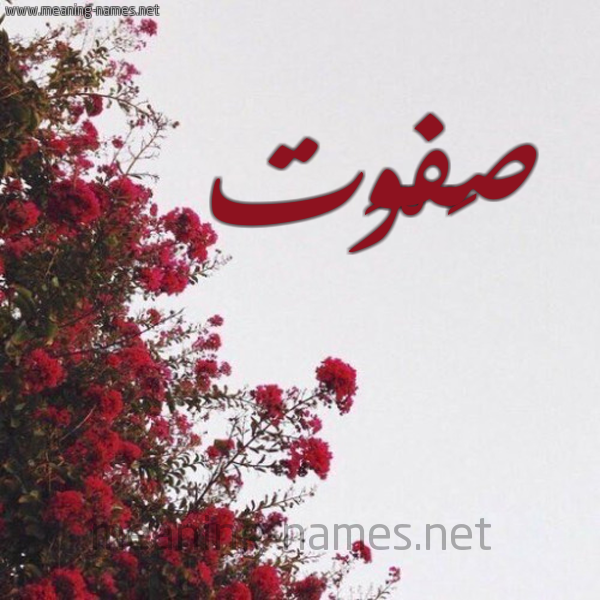 شكل 18 صوره الورد الأحمر للإسم بخط رقعة صورة اسم صَفْوَت SAFOAT
