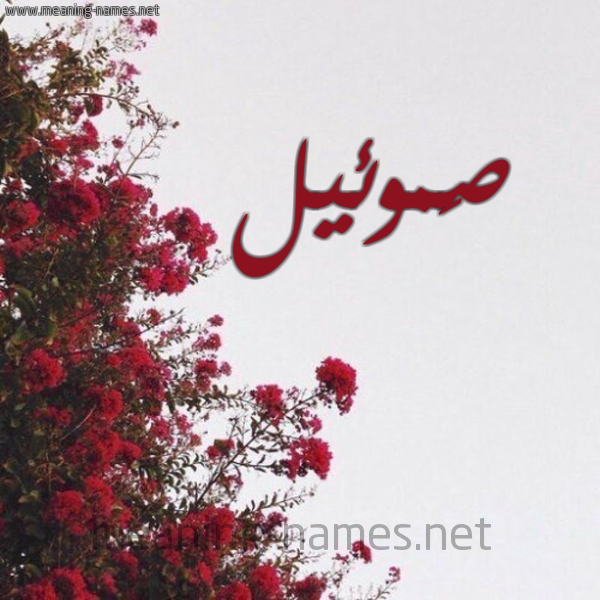 شكل 18 صوره الورد الأحمر للإسم بخط رقعة صورة اسم صَموئيل Samoiel