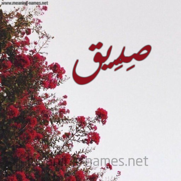 شكل 18 صوره الورد الأحمر للإسم بخط رقعة صورة اسم صِدِّيق Sedeiq