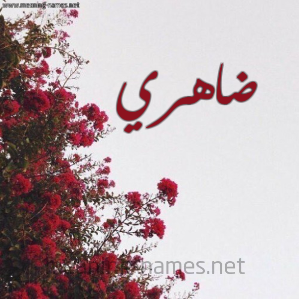 شكل 18 صوره الورد الأحمر للإسم بخط رقعة صورة اسم ضاهري Dahry