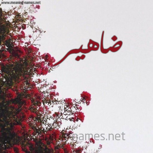 شكل 18 صوره الورد الأحمر للإسم بخط رقعة صورة اسم ضاهير Dahir