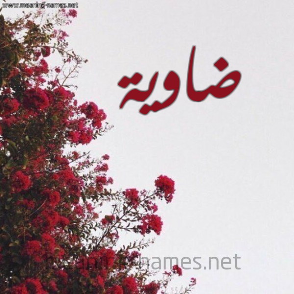 شكل 18 صوره الورد الأحمر للإسم بخط رقعة صورة اسم ضاوية DAOIH