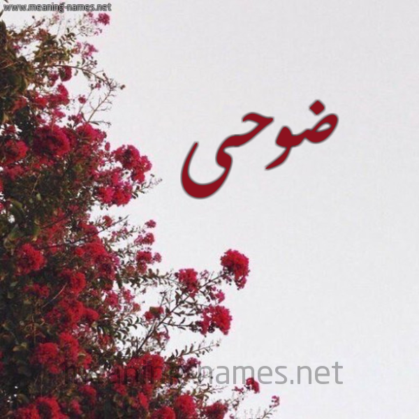 شكل 18 صوره الورد الأحمر للإسم بخط رقعة صورة اسم ضوحى Doha