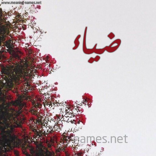 شكل 18 صوره الورد الأحمر للإسم بخط رقعة صورة اسم ضياء Diaa