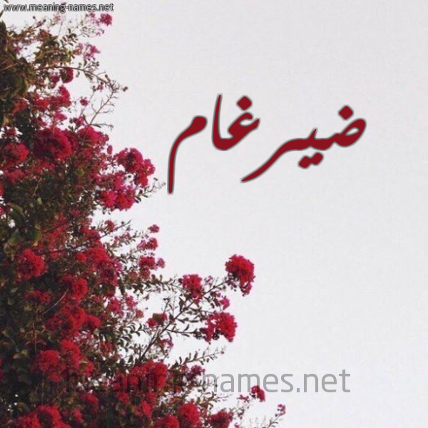 شكل 18 صوره الورد الأحمر للإسم بخط رقعة صورة اسم ضيرغام Dergham