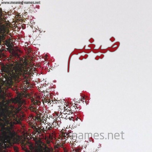 شكل 18 صوره الورد الأحمر للإسم بخط رقعة صورة اسم ضيغيم Daigham