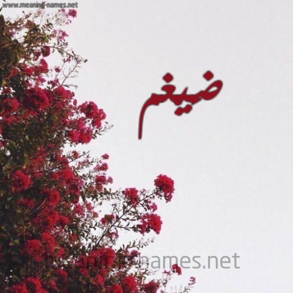 شكل 18 صوره الورد الأحمر للإسم بخط رقعة صورة اسم ضَيْغم DAIGHM