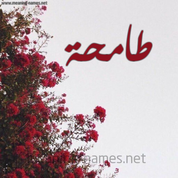 شكل 18 صوره الورد الأحمر للإسم بخط رقعة صورة اسم طامحة TAMHH