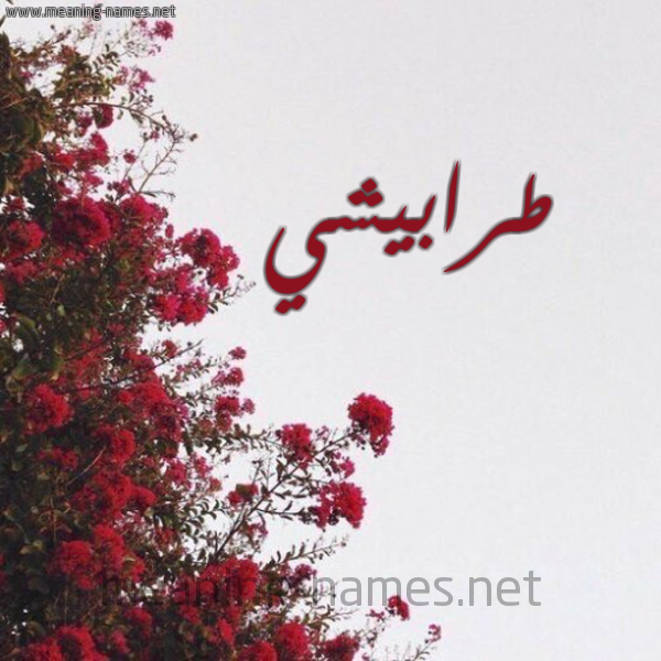 شكل 18 صوره الورد الأحمر للإسم بخط رقعة صورة اسم طرابيشي TRABISHI