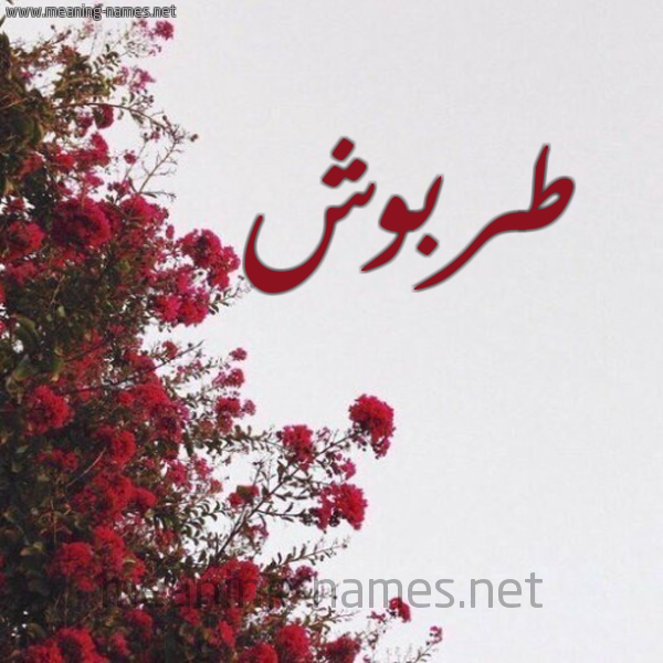 شكل 18 صوره الورد الأحمر للإسم بخط رقعة صورة اسم طربوش TRBOSH