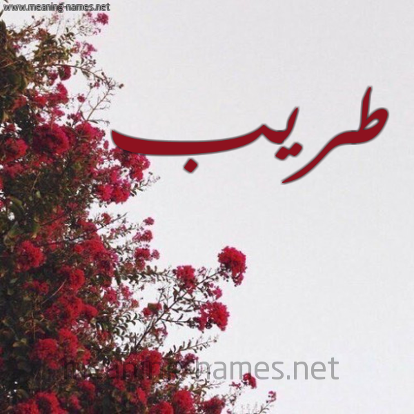 شكل 18 صوره الورد الأحمر للإسم بخط رقعة صورة اسم طريب Tarab