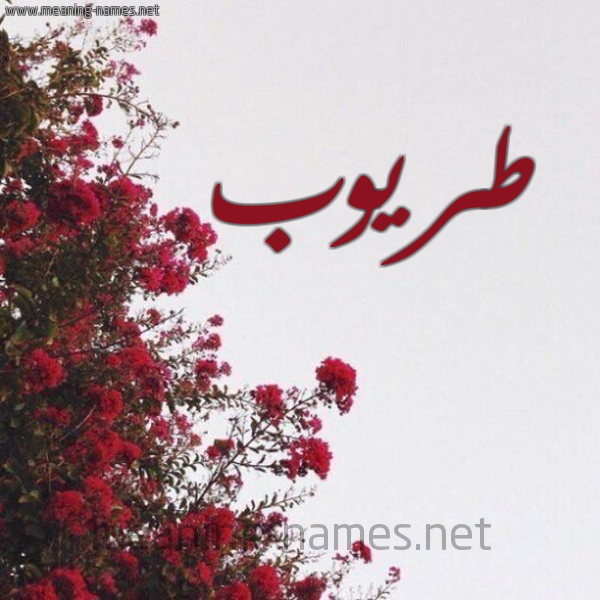 شكل 18 صوره الورد الأحمر للإسم بخط رقعة صورة اسم طريوب Tarub