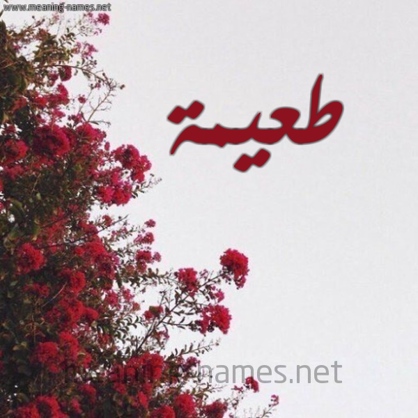 شكل 18 صوره الورد الأحمر للإسم بخط رقعة صورة اسم طعيمة TAIMH