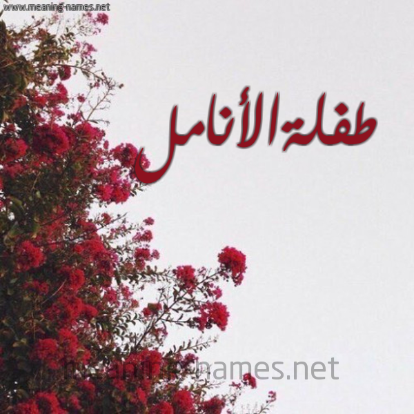 شكل 18 صوره الورد الأحمر للإسم بخط رقعة صورة اسم طفلةالأنامل Tflhal'anaml