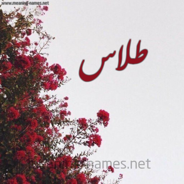 شكل 18 صوره الورد الأحمر للإسم بخط رقعة صورة اسم طلاس TLAS