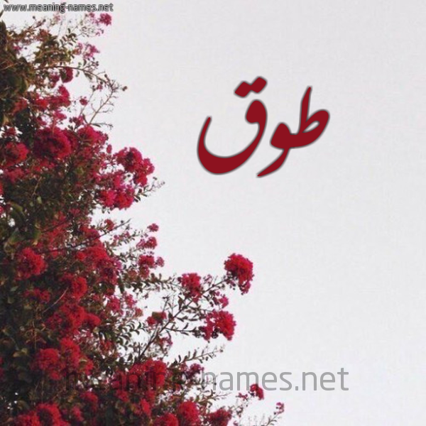 شكل 18 صوره الورد الأحمر للإسم بخط رقعة صورة اسم طوق Tooq