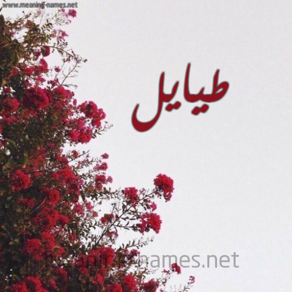 شكل 18 صوره الورد الأحمر للإسم بخط رقعة صورة اسم طيايل Tayel