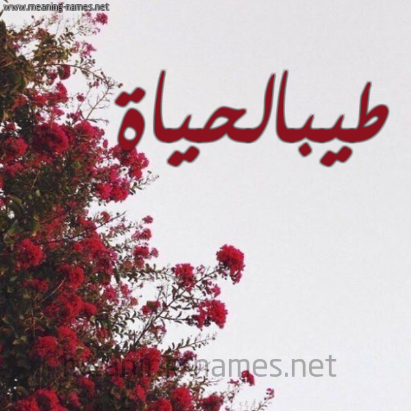 شكل 18 صوره الورد الأحمر للإسم بخط رقعة صورة اسم طيبالحياة Tybalhyah