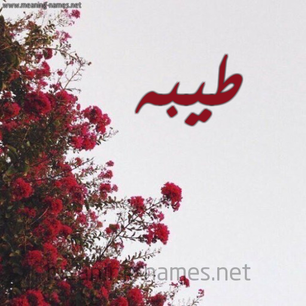 شكل 18 صوره الورد الأحمر للإسم بخط رقعة صورة اسم طيبه Teba