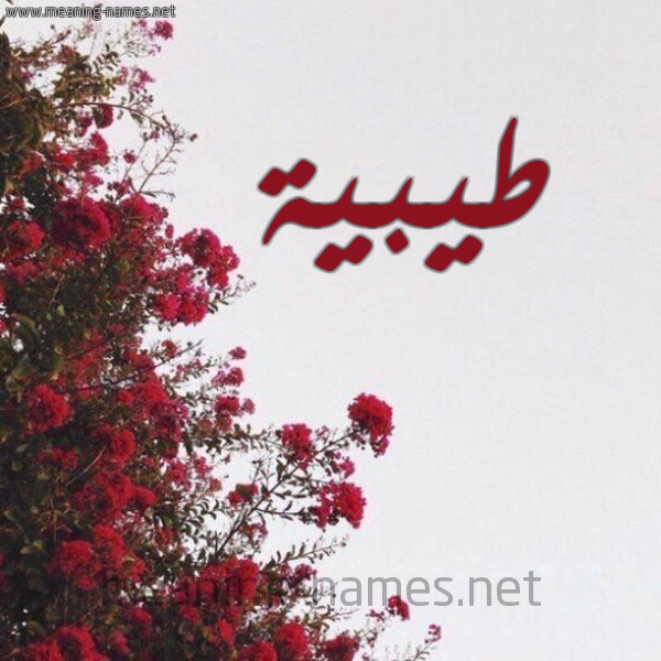 شكل 18 صوره الورد الأحمر للإسم بخط رقعة صورة اسم طيبية Tayba