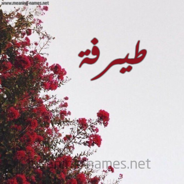 شكل 18 صوره الورد الأحمر للإسم بخط رقعة صورة اسم طيرفة Tarfa