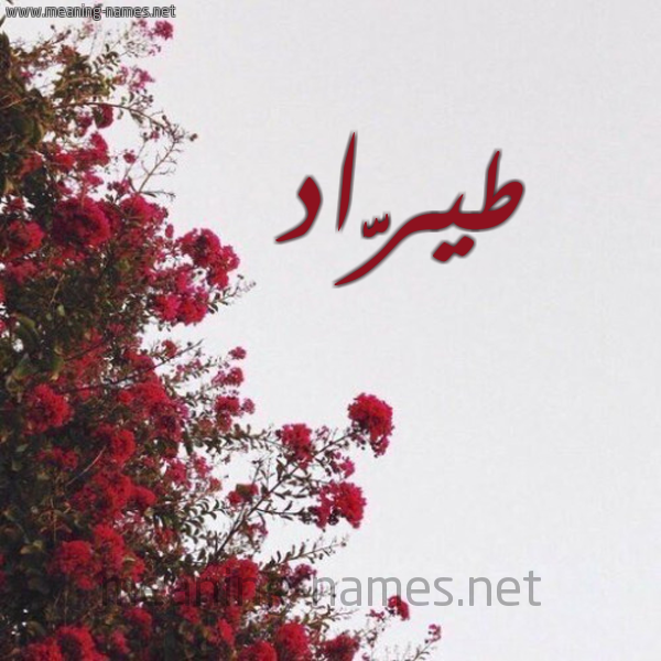 شكل 18 صوره الورد الأحمر للإسم بخط رقعة صورة اسم طيرَّاد Tarrad