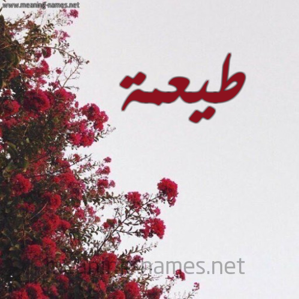 شكل 18 صوره الورد الأحمر للإسم بخط رقعة صورة اسم طيعمة Toa'ma