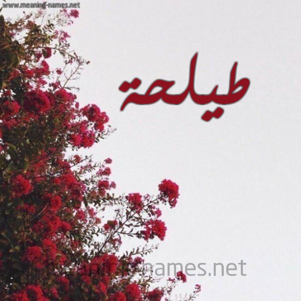 شكل 18 صوره الورد الأحمر للإسم بخط رقعة صورة اسم طيلحة Talha