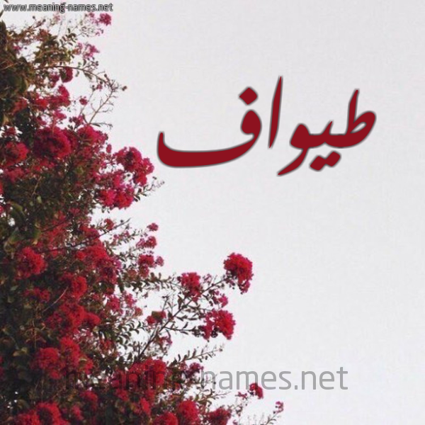 شكل 18 صوره الورد الأحمر للإسم بخط رقعة صورة اسم طيواف Tawaf