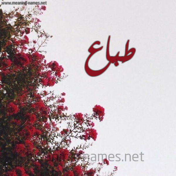 شكل 18 صوره الورد الأحمر للإسم بخط رقعة صورة اسم طَبّاع TABAA