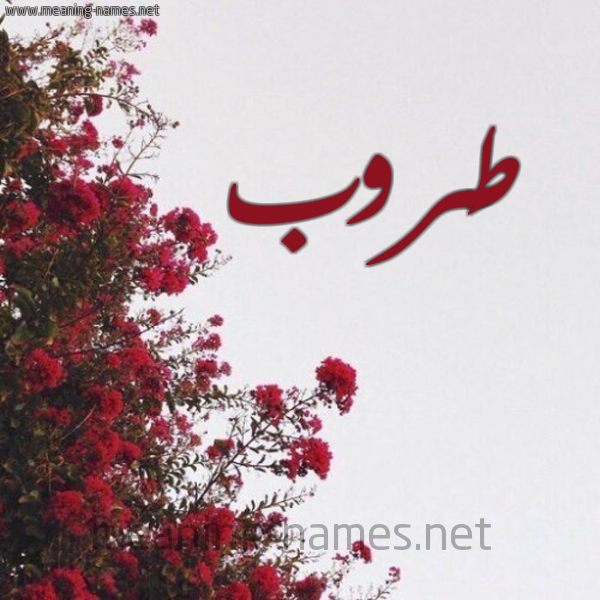 شكل 18 صوره الورد الأحمر للإسم بخط رقعة صورة اسم طَروب TAROB