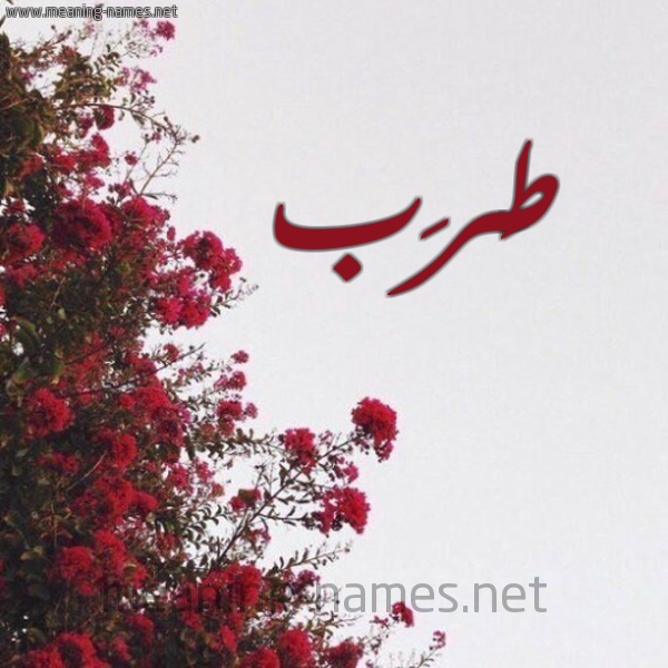 شكل 18 صوره الورد الأحمر للإسم بخط رقعة صورة اسم طَرَب TARAB