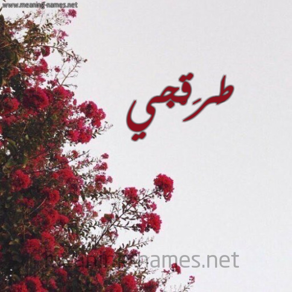 شكل 18 صوره الورد الأحمر للإسم بخط رقعة صورة اسم طَرَقْجي TARAQGI