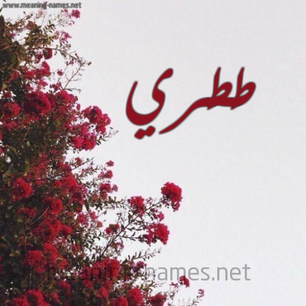 شكل 18 صوره الورد الأحمر للإسم بخط رقعة صورة اسم طَطَري TATARI