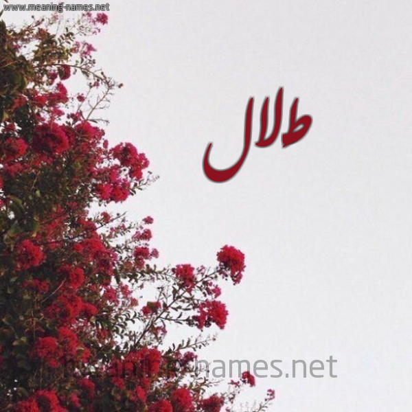 شكل 18 صوره الورد الأحمر للإسم بخط رقعة صورة اسم طَلال TALAL