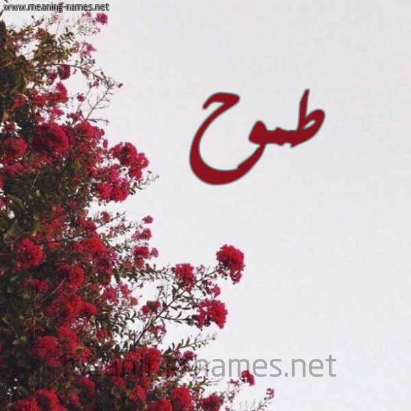 شكل 18 صوره الورد الأحمر للإسم بخط رقعة صورة اسم طَموح TAMOH