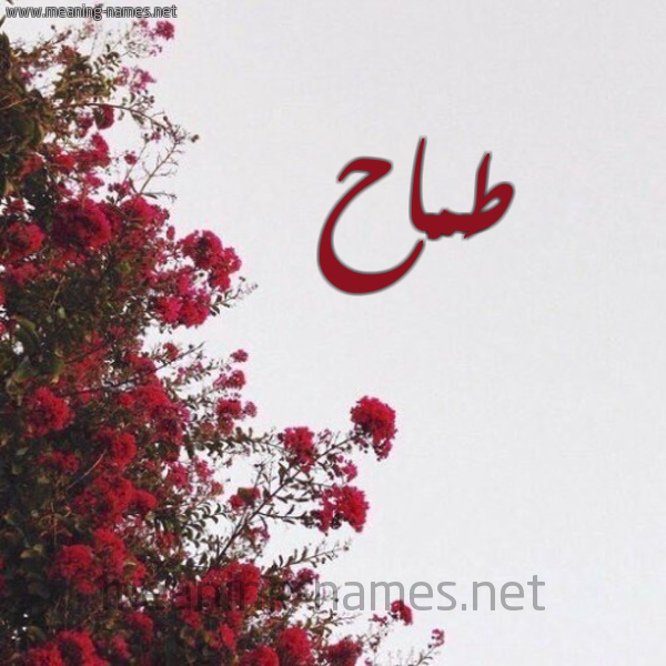 شكل 18 صوره الورد الأحمر للإسم بخط رقعة صورة اسم طَمَّاح TAMAAH