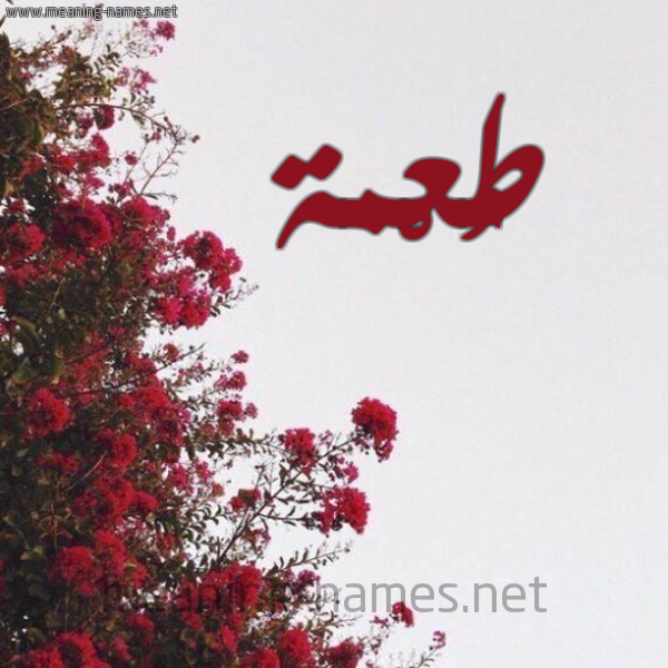 شكل 18 صوره الورد الأحمر للإسم بخط رقعة صورة اسم طُعْمة TOAMH