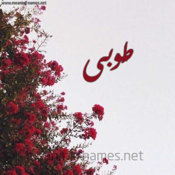 شكل 18 صوره الورد الأحمر للإسم بخط رقعة صورة اسم طُوبى TOOBA