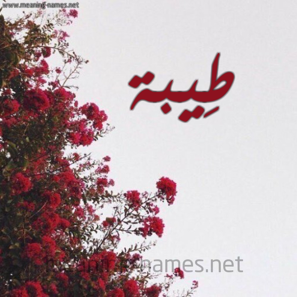 شكل 18 صوره الورد الأحمر للإسم بخط رقعة صورة اسم طِيبة TEIBH